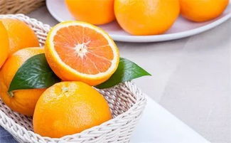 橙心橙意，碧桂園新年派橙 科技引領(lǐng)，品味創(chuàng)新吃橙新高度